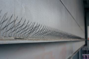 Needles for protection against pigeons on the street