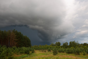 hurricane in the sky above the forest