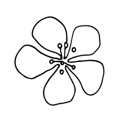 Spring Flower. Outline vector illustration.