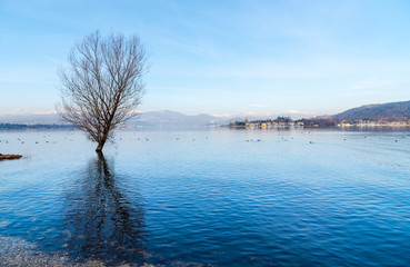 Landscape of Cicognola beach between Lake Maggiore and the Ticino river in Castelletto sopra Ticino, Italy