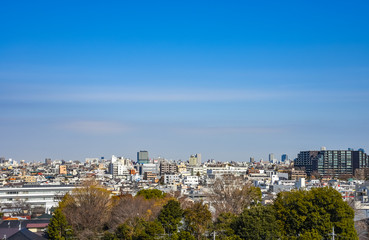 Fototapeta na wymiar Skyline in Setagaya, Tokyo, Japan