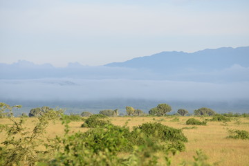 Fototapeta na wymiar Africa Landscape