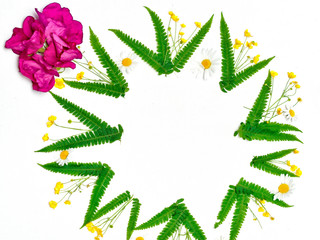 Wreath chamomile ranunculus and fern and pink tea roses