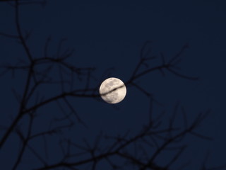 月