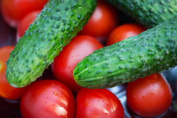 Fresh ripe organic cucumbers and tomatoes in dew drops. Abstract background