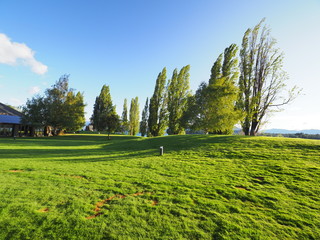 SCENERY OF NEW ZEALAND (WANAKA)
