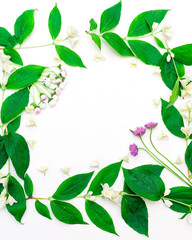 Wreath with jasmine flowers and leaves and chamomile