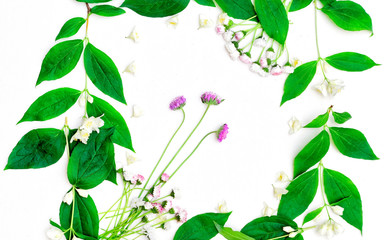 Wreath of jasmine flowers and leaves and chamomile on white