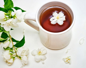 Fototapeta na wymiar Tea cup with Jasmine flowers on white background