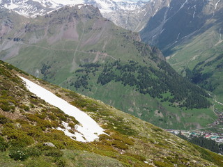 Fototapeta na wymiar rocky mountainside covered with fresh green grass, flowers and a little snow that has not melted, Alpine meadow