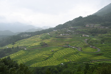 千枚田