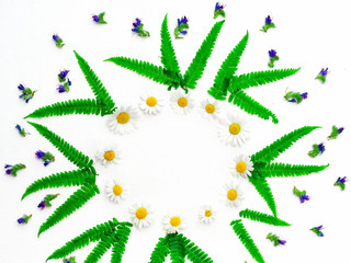 Wreath with chamomile purple wild flowers and green fern
