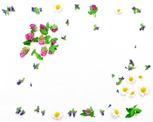 Naklejka na ściany i meble Frame with field flowers clovers and chamomile