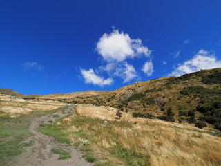 SCENERY OF NEW ZEALAND (WANAKA)