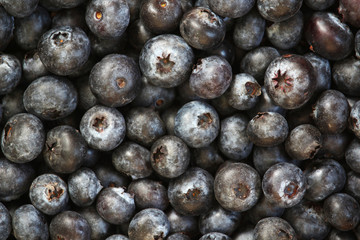 Background formed with ripe blueberry	
