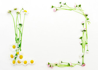 Wreath of chamomile and daisy on white