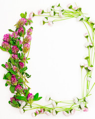 Wreath with clover and daisy on white