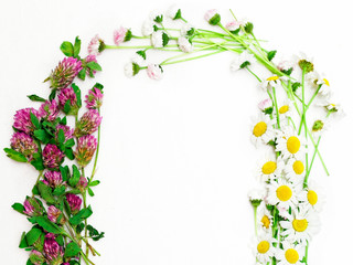 Wreath with clover and chamomile and daisy on white