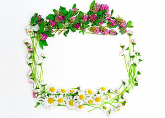 Wreath of clover and chamomile and daisy on white