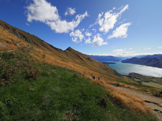 Fototapeta na wymiar SCENERY OF NEW ZEALAND (WANAKA)