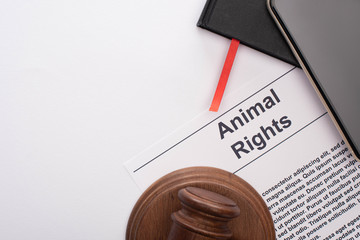 top view of animal rights inscription, black notebooks, smartphone and judge gavel on white background