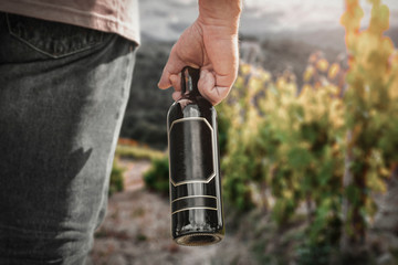 Men hand with black bottle of wine and vineyard blurred background.