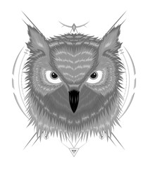 Portrait of an owl. Owls Head. Abstract bird. Print. Profile. Decorative. Stylized. Line art. Black and white. Isolated. Tattoo.
