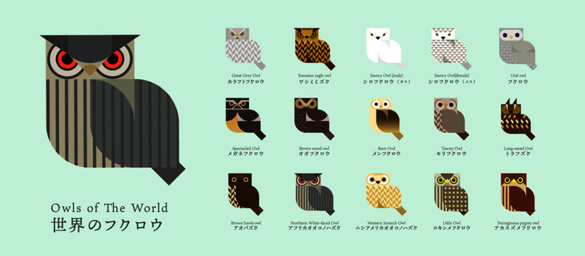 Owls of the World Icon