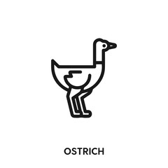 ostrich icon vector. ostrich symbol sign.