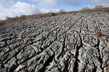Burren lough avalla farm