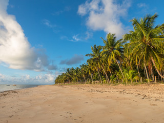 PLAYAS DEL NORDESTE BRASILERO 