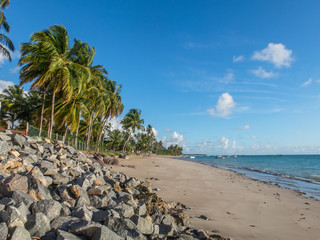 PLAYAS DEL NORDESTE BRASILERO 