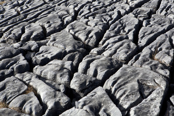 Burren lough avalla farm