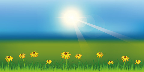 Fototapeta na wymiar sunny spring background with daisy flower on green meadow vector illustration EPS10