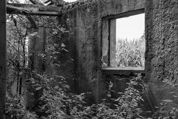 Ruine, Alt, Haus, heruntergekommen, Stall, lost place