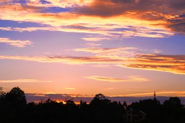 Beautiful sunset and the strength of the trees