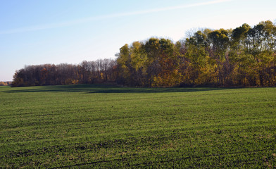 Fototapeta premium landscape, nature, spring