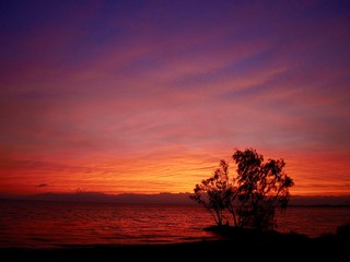 Fototapeta na wymiar 水辺の木と茜色の夕焼け空