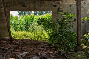 Ruine, Alt, Haus, heruntergekommen, Stall, lost place