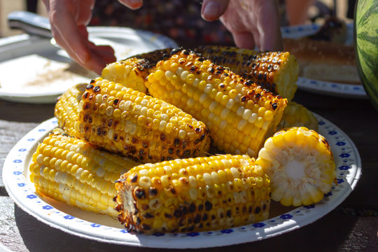 grilled corn cob on barbecue, guy put it on a plate outdoors during the picnic