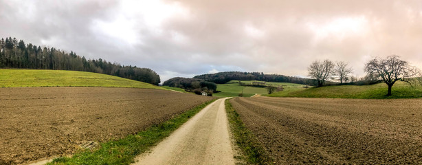gravel path countryside agricultural fields at sunset, panorama, colorful overcast sky