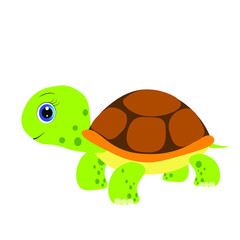 cute turtle cartoon illustration
