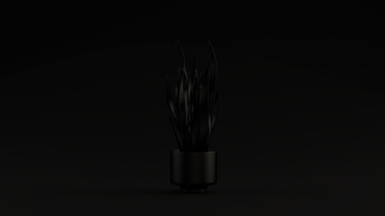 Black Mother In Laws Tongue Plant in a Pot Black Background 3d illustration 3d render