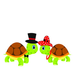 cute turtle cartoon illustration