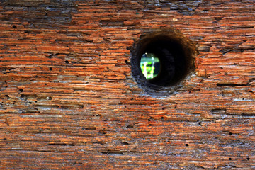 Nagel, Holz, alt, Rost