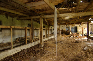 Ruine, lost place, Gemäuer, Stall, alt