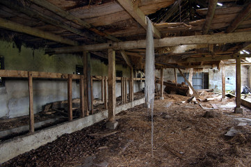 Ruine, lost place, Gemäuer, Stall, alt