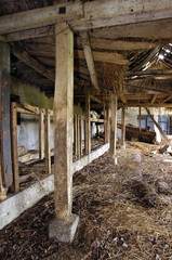 Ruine, lost place, Gemäuer, Stall, alt