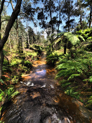 SCENARY AT AUSTRALIA