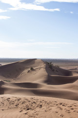 Obraz na płótnie Canvas Dune
